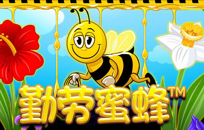 新黄金城xhjc